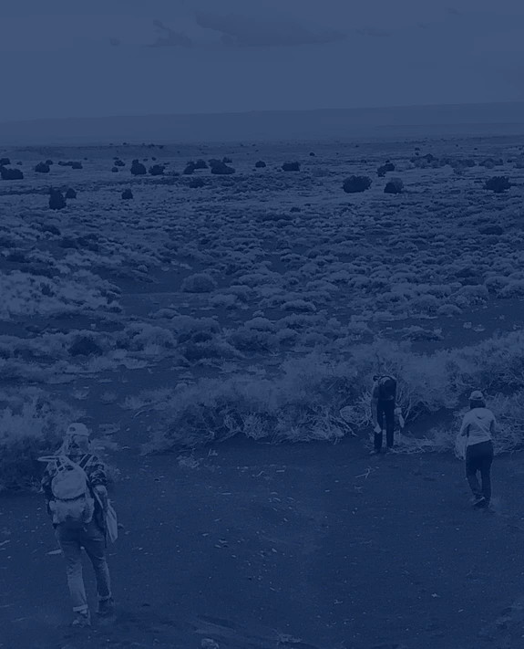Group of people walking through desert