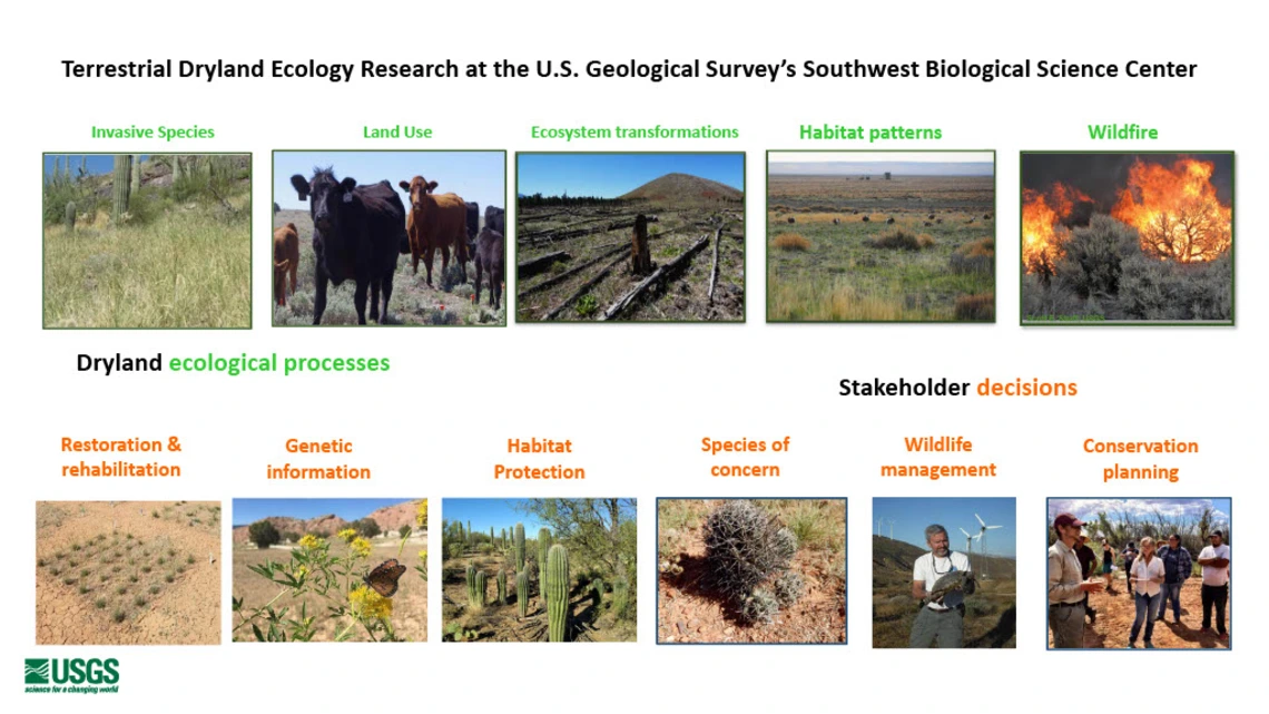 Terrestrial Dryland Ecology Research at the U.S. Geological Survey's Southwest Biological Science Center