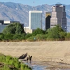 Vaquero in Santa Cruz River